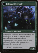 Infestation Expert // Infested Werewolf (VOW-206) - Innistrad: Crimson Vow: (Double Faced Transform) Foil