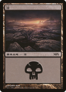 Swamp (PREM-003) - Magic Premiere Shop 2008 Foil