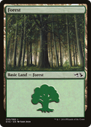 Forest (DD3-030) - Duel Decks Anthology: Elves vs. Goblins