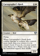 Cartographer's Hawk (CMM-018) - Commander Masters Foil