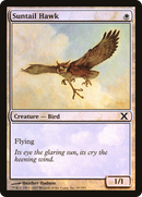 Suntail Hawk (10E-50★) - Tenth Edition Foil