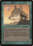 Wyluli Wolf (ARN-) - Arabian Nights