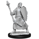 Critical Role Unpainted Miniatures Human Clovis Concord Cleric Male