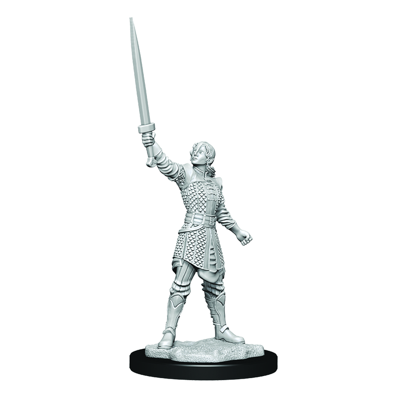 Critical Role Unpainted Human Dwendalian Empire Fighter Female