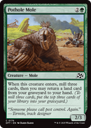 Pothole Mole (DFT-176) - Aetherdrift Foil