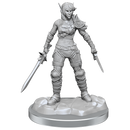 D&D Elf Rogue & Half-Elf Rogue Protege