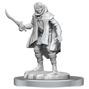 D&D Elf Rogue & Half-Elf Rogue Protege