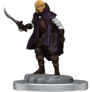 D&D Elf Rogue & Half-Elf Rogue Protege