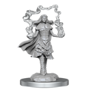 D&D Nolzurs Marvelous Unpainted Miniatures Dark Spellcaster & Flameskulls