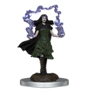 D&D Nolzurs Marvelous Unpainted Miniatures Dark Spellcaster & Flameskulls