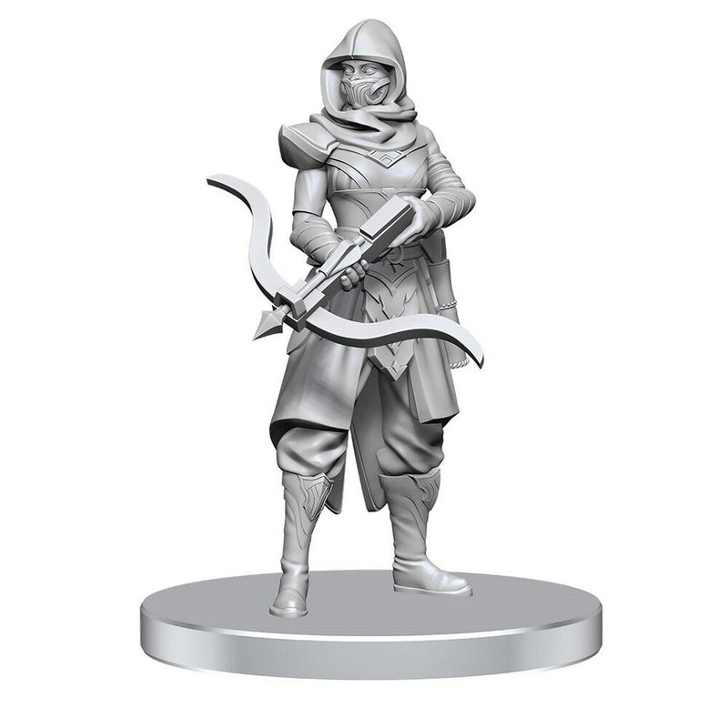 D&D Nolzur's Marvelous Miniatures: Assassin & Berserker