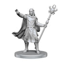 D&D Mini Drow Mage & Yochlol