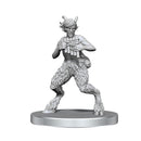 D&D Mini Satyr & Dryad