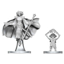 D&D Miniatures: Gnome Warlock & Aasimar Wizard