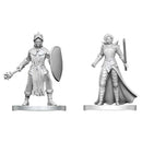 D&D Miniatures: Black Gauntlet & Zhentilar Paladin of Bane