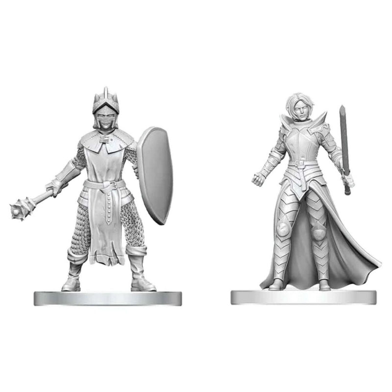 D&D Miniatures: Black Gauntlet & Zhentilar Paladin of Bane