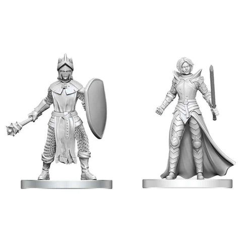 D&D Miniatures: Black Gauntlet & Zhentilar Paladin of Bane