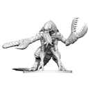 D&D Miniatures: Chuul