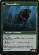 Hound Tamer // Untamed Pup (MID-187) - Innistrad: Midnight Hunt: (Double Faced Transform)