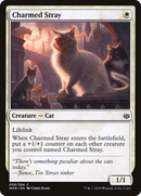 Charmed Stray (WAR-008) - War of the Spark