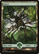 Forest (BFZ-273) - Battle for Zendikar
