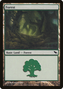Forest (SHM-299) - Shadowmoor