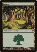 Forest (LRW-300) - Lorwyn