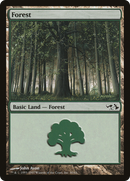 Forest (EVG-030) - Duel Decks: Elves vs. Goblins