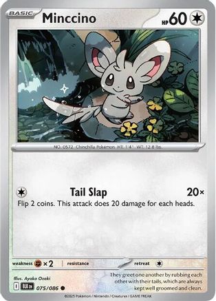 Minccino 075/086  - Reverse Holofoil SV Black Bolt - Common