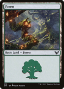 Forest (STX-375) - Strixhaven: School of Mages Foil