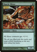 Muscle Sliver (PDS-009) - Premium Deck Series: Slivers Foil