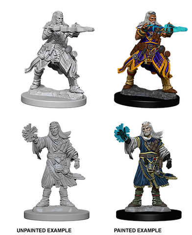 Pathfinder Legendary Cuts Human Male Wizard