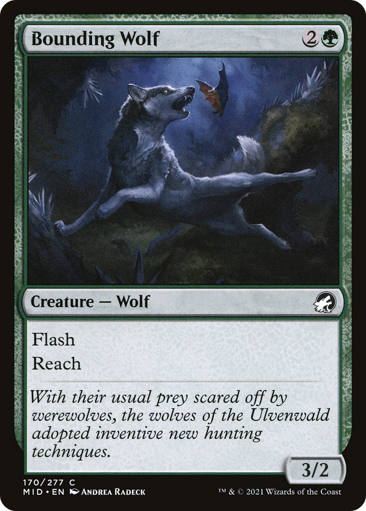 Bounding Wolf (MID-170) - Innistrad: Midnight Hunt Foil