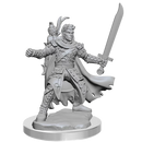 D&D Frameworks Half-Elf Ranger Male