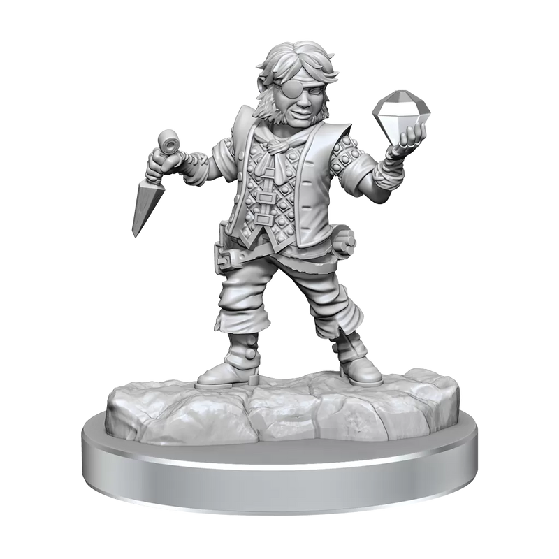 D&D Frameworks Halfling Rogue Male