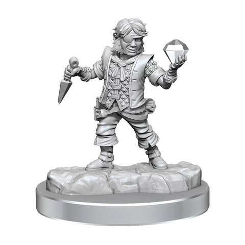 D&D Frameworks Halfling Rogue Male