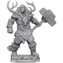 D&D Frameworks Goliath Barbarian Male