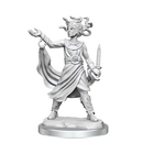 D&D Frameworks Medusa