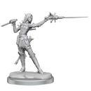 Pathfinder Legendary Cuts Elf Rogue Female