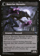 Baneblade Scoundrel // Baneclaw Marauder (MID-085) - Innistrad: Midnight Hunt: (Double Faced Transform) Foil