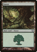 Forest (DPA-113) - Duels of the Planeswalkers