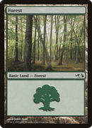 Forest (EVG-029) - Duel Decks: Elves vs. Goblins