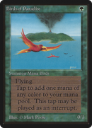 Birds of Paradise (LEB-187) - Limited Edition Beta