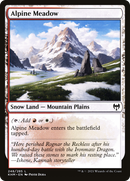 Alpine Meadow (KHM-248) - Kaldheim: (snow)