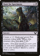Hunt for Specimens (STX-073) - Strixhaven: School of Mages Foil