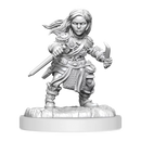 D&D Nolzurs Marvelous Miniatures Halfling Rogue Female