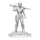 D&D Nolzurs Marvelous Miniatures Orc Fighter Female