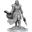 D&D Nolzurs Marvelous Miniatures Orc Fighter Female