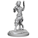 D&D Nolzurs Marvelous Miniatures Shifter Fighter