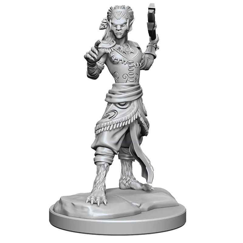 D&D Nolzurs Marvelous Miniatures Shifter Fighter